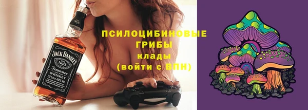 экстази Гусев