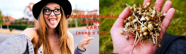 экстази Гусев