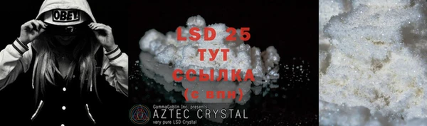 экстази Гусев