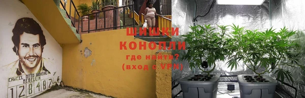 jwh Гусь-Хрустальный